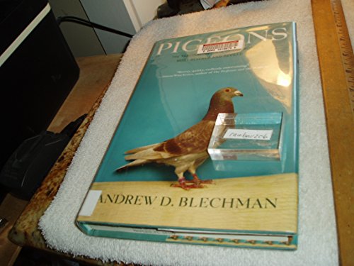 Imagen de archivo de Pigeons a la venta por Library House Internet Sales