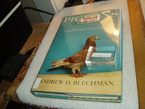 Stock image for Pigeons : The Fascinating Saga of the World's Most Revered and Reviled Bird for sale by Better World Books