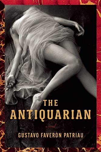 Stock image for The Antiquarian for sale by Foxtrot Books