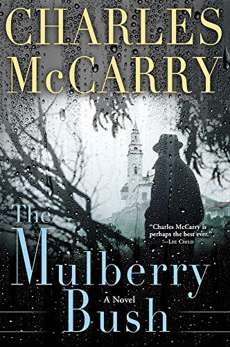 Imagen de archivo de The Mulberry Bush a la venta por Wonder Book