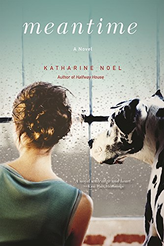 Beispielbild fr Meantime: A Novel zum Verkauf von SecondSale