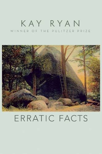 Stock image for Erratic Facts for sale by BooksRun