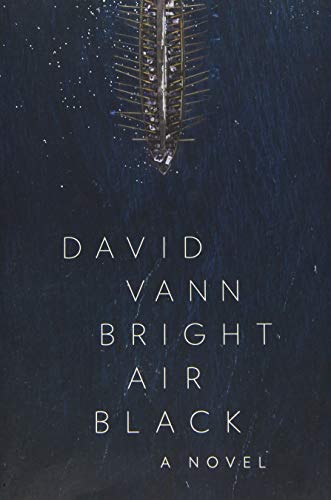 Imagen de archivo de Bright Air Black: A Novel a la venta por SecondSale