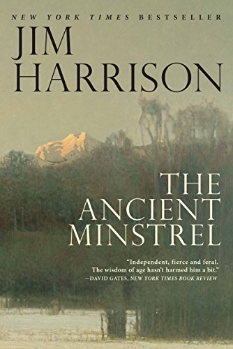 9780802126344: The Ancient Minstrel: Novellas