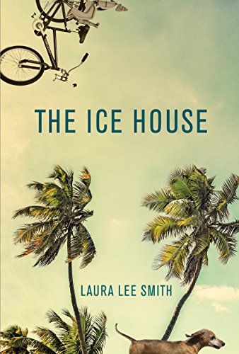 Beispielbild fr The Ice House zum Verkauf von More Than Words