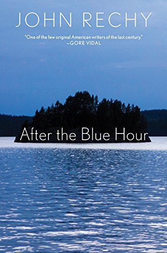 Beispielbild fr After the Blue Hour zum Verkauf von Better World Books