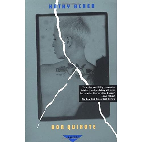 Stock image for Don Quixote: A Novel (Acker, Kathy) for sale by GF Books, Inc.