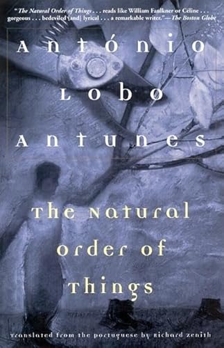 Imagen de archivo de The Natural Order of Things a la venta por Ergodebooks