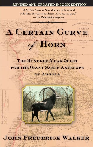 Stock image for A Certain Curve of Horn : The Hundred-Year Quest for the Giant Sable Antelope of Angola for sale by Better World Books