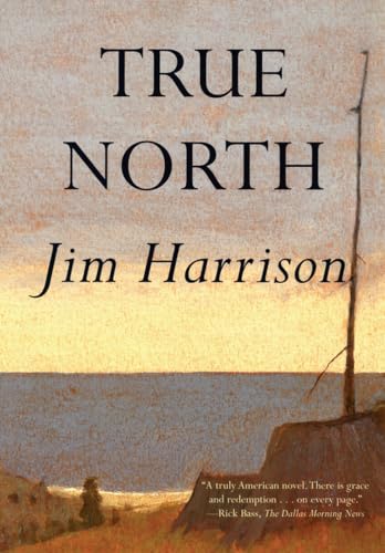 Imagen de archivo de True North a la venta por Better World Books