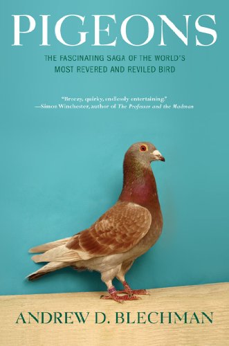Beispielbild fr Pigeons : The Fascinating Saga of the World's Most Revered and Reviled Bird zum Verkauf von Better World Books