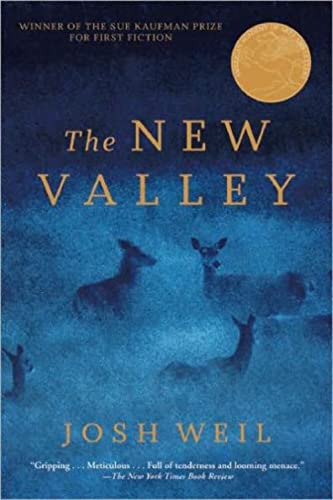 Stock image for The New Valley: Novellas for sale by Isle of Books