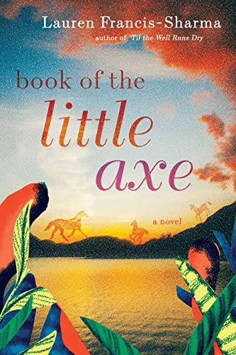 Beispielbild fr Book of the Little Axe zum Verkauf von BooksRun