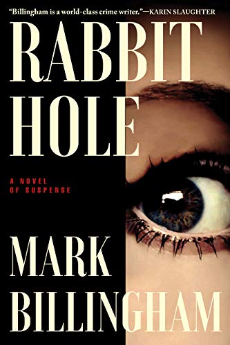 Imagen de archivo de Rabbit Hole: A Novel a la venta por SecondSale