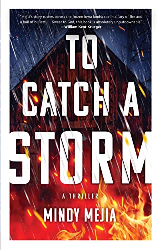 Imagen de archivo de To Catch a Storm a la venta por Goodwill
