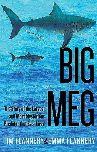 Stock image for Big Meg: The Story of the Largest and Most Mysterious Predator that Ever Lived for sale by Big River Books