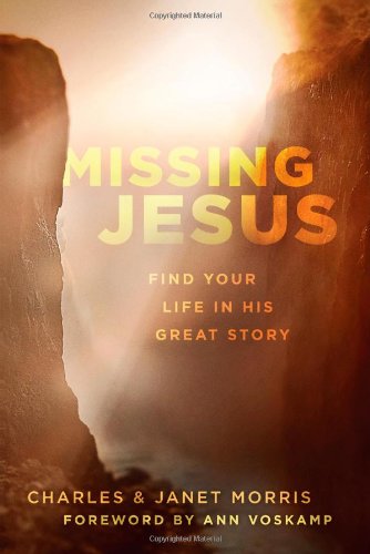 Stock image for Missing Jesus: Find Your Life in His Great Story for sale by SecondSale