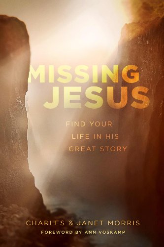 Stock image for Missing Jesus: Find Your Life in His Great Story for sale by SecondSale