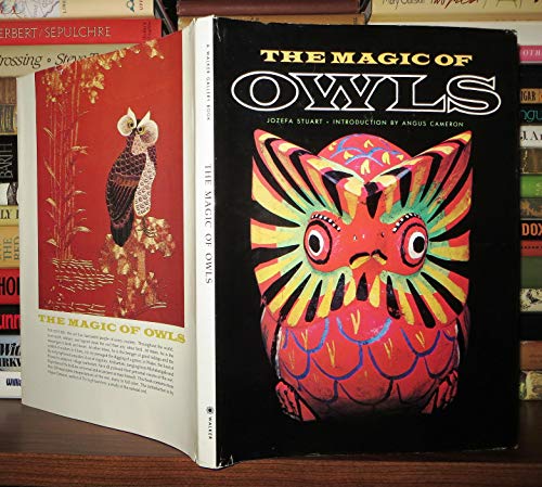 Beispielbild fr The Magic of Owls (Walker Gallery Book) zum Verkauf von Wonder Book