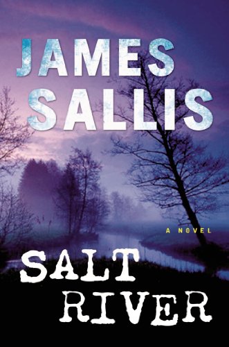 Imagen de archivo de Salt River: A Novel (John Turner Series) a la venta por Open Books