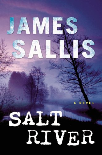 Stock image for Salt River: A Novel (John Turner Series) for sale by Open Books