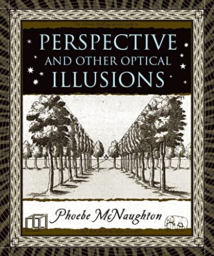 9780802716330: Perspective and Other Optical Illusions (Wooden Books)