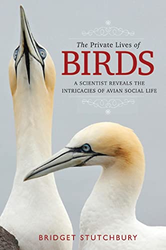 Stock image for The Private Lives of Birds : A Scientist Reveals the Intricacies of Avian Social Life for sale by Better World Books: West