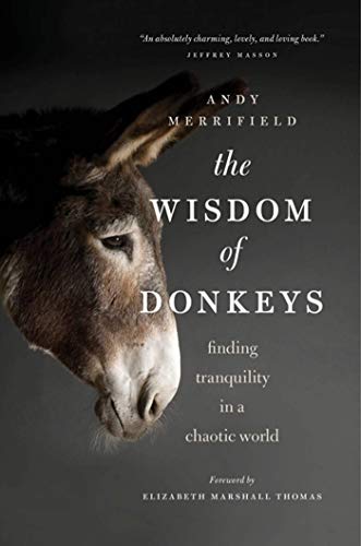 Imagen de archivo de The Wisdom of Donkeys: Finding Tranquility in a Chaotic World a la venta por BooksRun