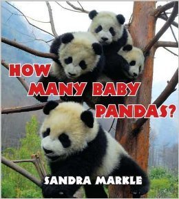 Imagen de archivo de How Many Baby Pandas? / Scholastic Book Fair Edition a la venta por Front Cover Books
