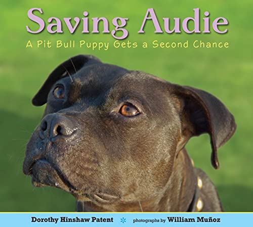Stock image for Saving Audie: A Pit Bull Puppy Gets a Second Chance for sale by ThriftBooks-Dallas