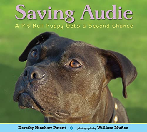 Beispielbild fr Saving Audie : A Pit Bull Puppy Gets a Second Chance zum Verkauf von Better World Books: West