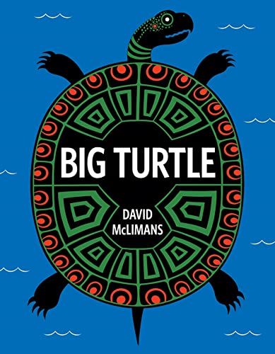 Imagen de archivo de Big Turtle a la venta por Better World Books