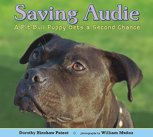 Imagen de archivo de Saving Audie: A Pit Bull Puppy Gets a Second Chance a la venta por Half Price Books Inc.