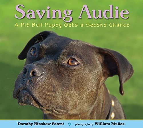 9780802734570: Saving Audie: A Pit Bull Puppy Gets a Second Chance