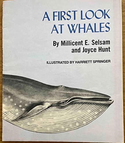 Imagen de archivo de A First Look at Whales a la venta por ThriftBooks-Atlanta