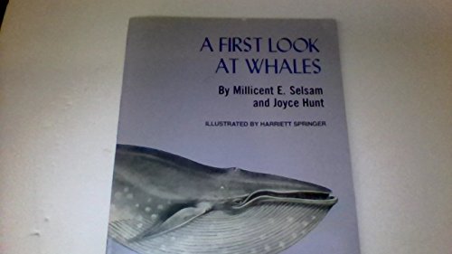 Beispielbild fr A First Look at Whales zum Verkauf von ThriftBooks-Atlanta