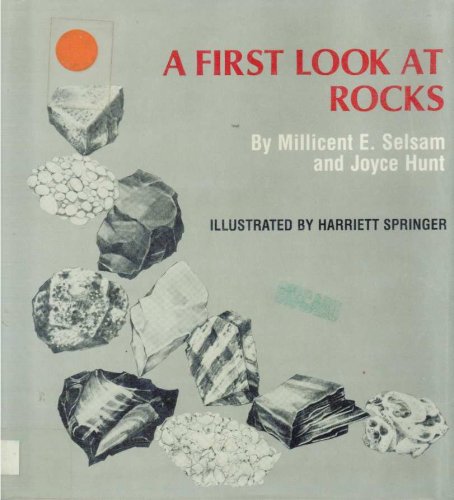 Stock image for A First Look at Rocks (First Look at Series) for sale by SecondSale