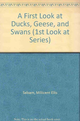 Imagen de archivo de A First Look at Ducks, Geese, and Swans (1st Look at Series) a la venta por SecondSale