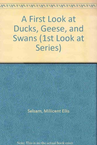 Stock image for A First Look at Ducks, Geese, and Swans (1st Look at Series) for sale by SecondSale