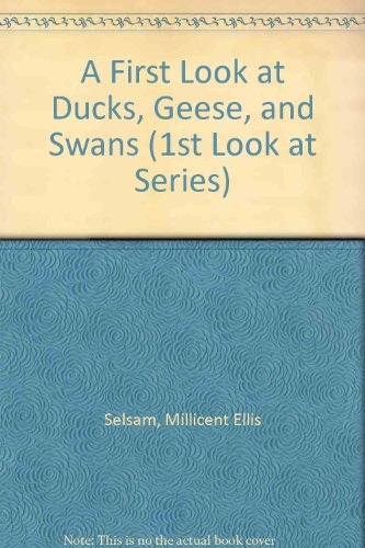 Imagen de archivo de A First Look at Ducks, Geese, and Swans a la venta por ThriftBooks-Dallas