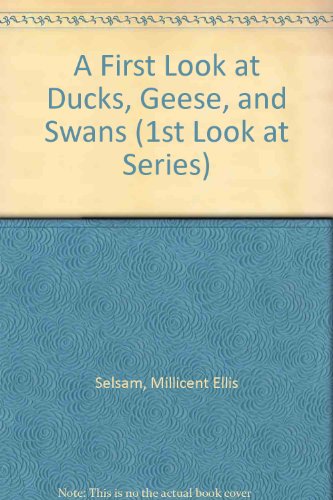 Stock image for A First Look at Ducks, Geese, and Swans for sale by ThriftBooks-Dallas