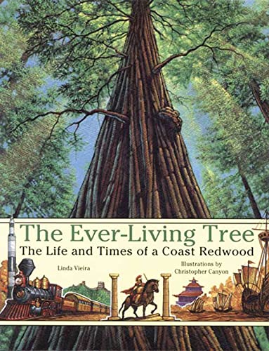 Stock image for The Ever-Living Tree: The Life and Times of a Coast Redwood for sale by BooksRun