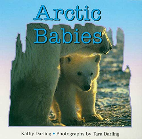 Imagen de archivo de Arctic Babies a la venta por Better World Books