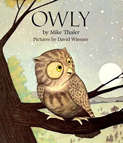 Imagen de archivo de Owly a la venta por BooksRun