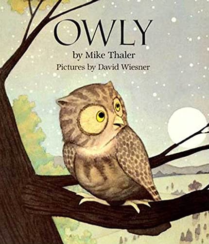 Stock image for Owly for sale by BooksRun
