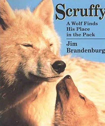 Beispielbild fr Scruffy: A Wolf Finds His Place in the Pack zum Verkauf von Ergodebooks