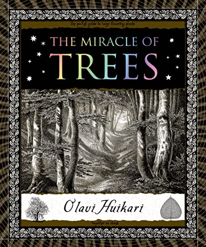 9780802777898: The Miracle of Trees (Wooden Books)