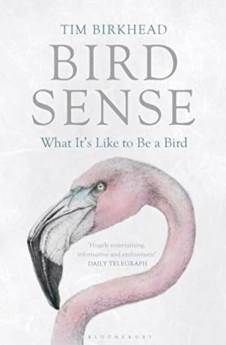 Beispielbild fr Bird Sense: What Its Like to Be a Bird zum Verkauf von Goodwill of Colorado