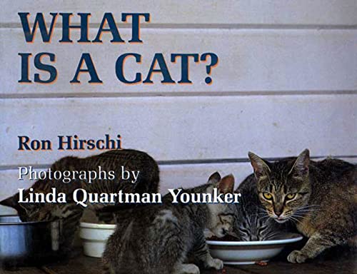 Stock image for What Is a Cat? for sale by Black and Read Books, Music & Games