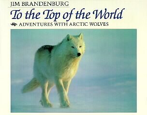 Stock image for To the Top of the World : Adventures with Arctic Wolves for sale by Better World Books